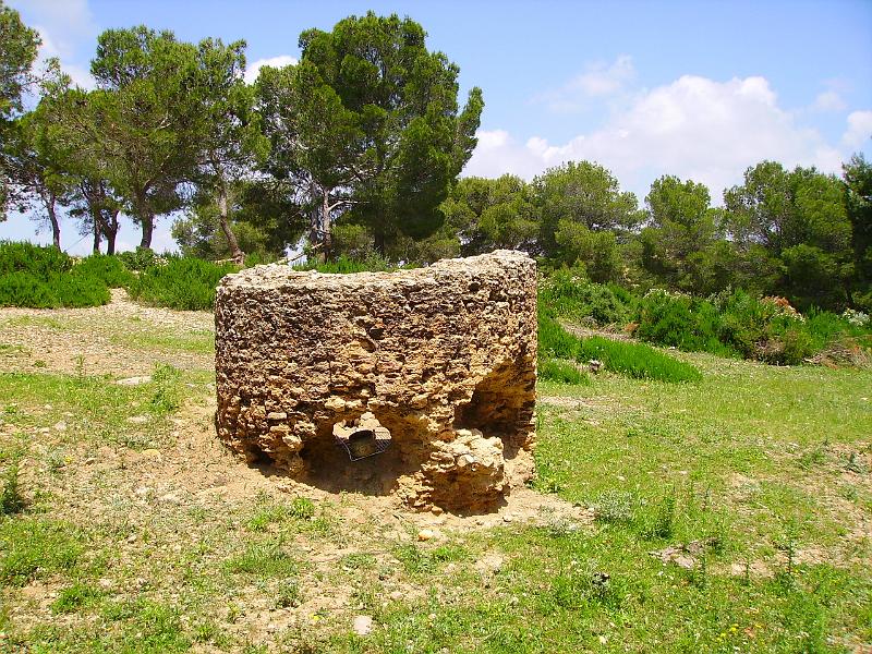 Carthage - Ain Jouggar CM02.JPG